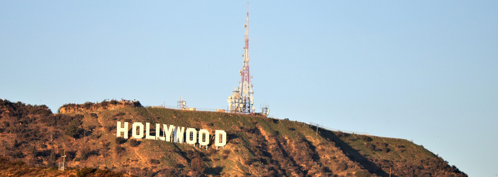 BrandPal-About Us-Location-Los Angeles